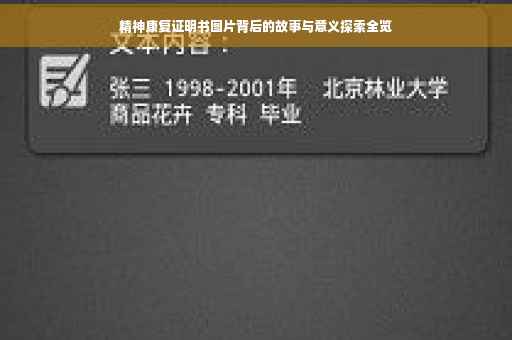 精神康复证明书图片背后的故事与意义探索全览