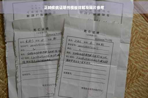 正畸疾病证明书模板详解及图片参考