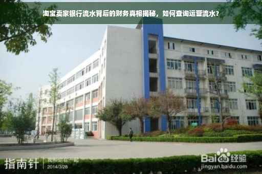 淘宝卖家银行流水背后的财务真相揭秘，如何查询运营流水？