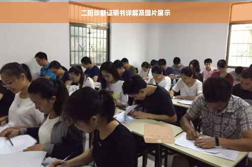 二阳诊断证明书详解及图片展示
