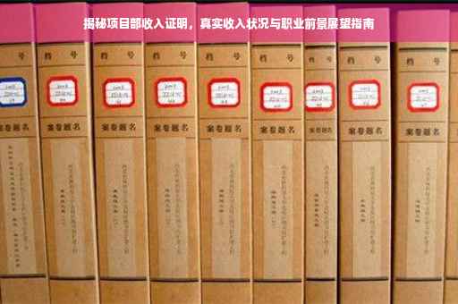 揭秘项目部收入证明，真实收入状况与职业前景展望指南