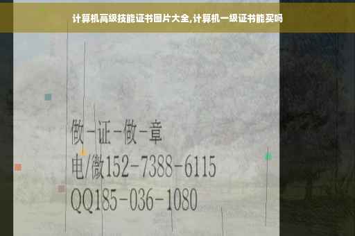 计算机高级技能证书图片大全,计算机一级证书能买吗