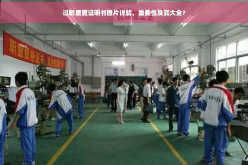 过敏康复证明书图片详解，重要性及其大全?