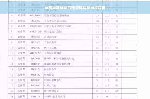坠楼事故证明书模板详解及图片指南