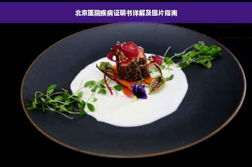 北京医院疾病证明书详解及图片指南