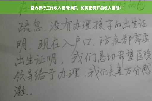 官方农行工作收入证明详解，如何正确开具收入证明？