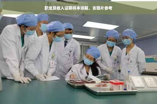 职业及收入证明样本详解，含图片参考
