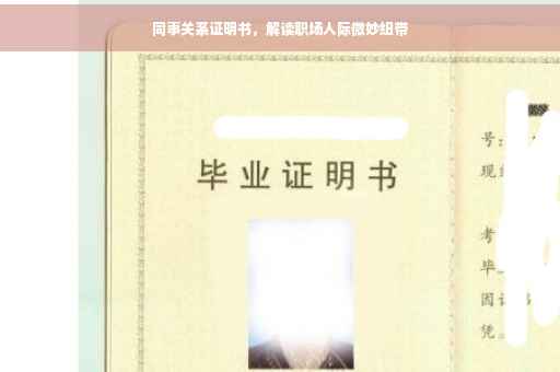 同事关系证明书，解读职场人际微妙纽带