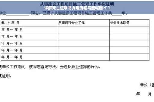 详解死亡证明书办理流程与流程图?⚡️