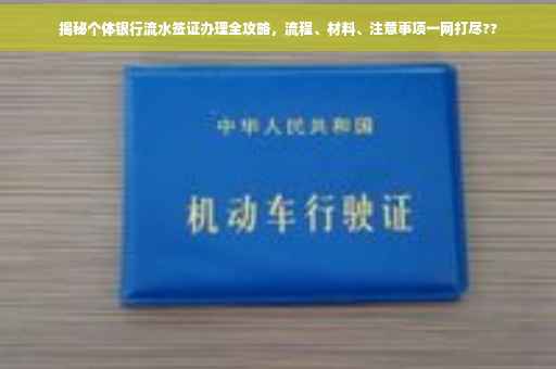 揭秘个体银行流水签证办理全攻略，流程、材料、注意事项一网打尽??