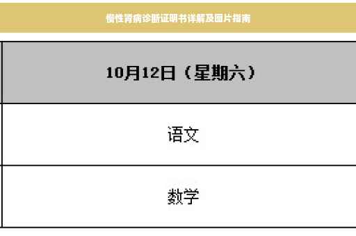 慢性肾病诊断证明书详解及图片指南