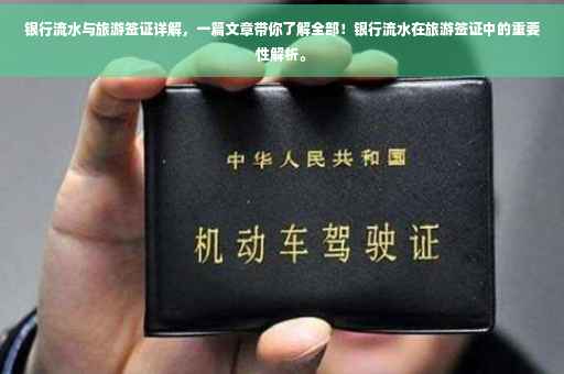 银行流水与旅游签证详解，一篇文章带你了解全部！银行流水在旅游签证中的重要性解析。