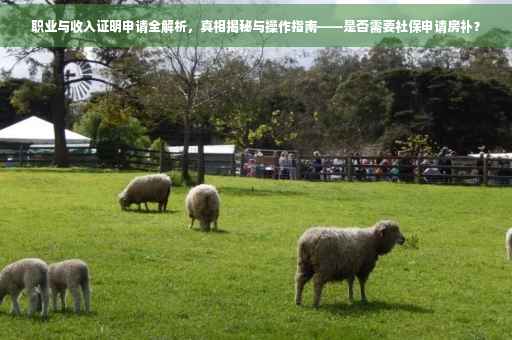 职业与收入证明申请全解析，真相揭秘与操作指南——是否需要社保申请房补？