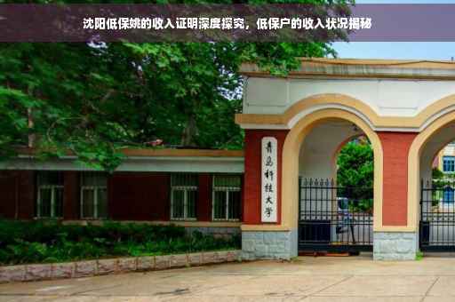 沈阳低保姚的收入证明深度探究，低保户的收入状况揭秘