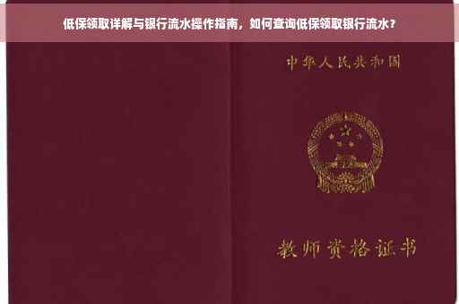低保领取详解与银行流水操作指南，如何查询低保领取银行流水？