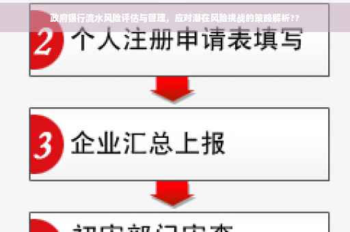 政府银行流水风险评估与管理，应对潜在风险挑战的策略解析??