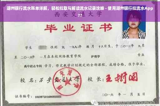 湖州银行流水账单详解，轻松拉取与解读流水记录攻略 - 使用湖州银行拉流水App??