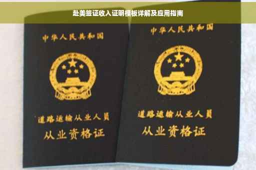 赴美签证收入证明模板详解及应用指南