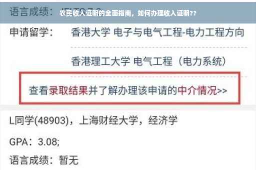 农民收入证明的全面指南，如何办理收入证明??