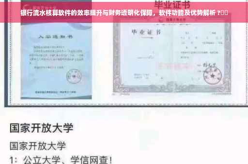银行流水核算软件的效率提升与财务透明化保障，软件功能及优势解析 ?⚡️