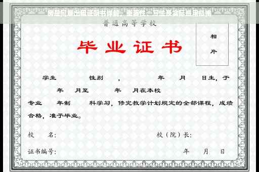 房屋同意出租证明书详解，重要性、写法及实际应用指南