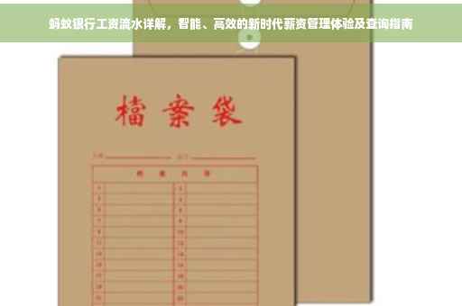 蚂蚁银行工资流水详解，智能、高效的新时代薪资管理体验及查询指南