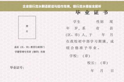 企业银行流水翻译解读与操作指南，银行流水模板全解析