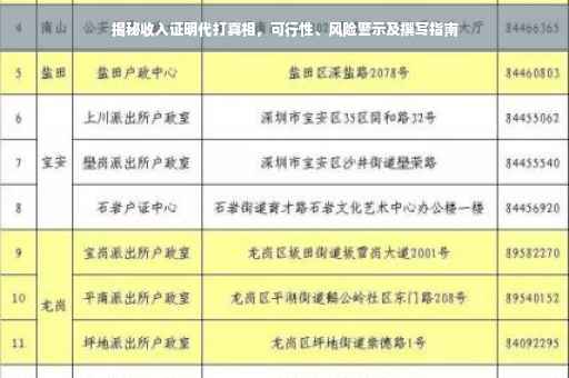 揭秘收入证明代打真相，可行性、风险警示及撰写指南