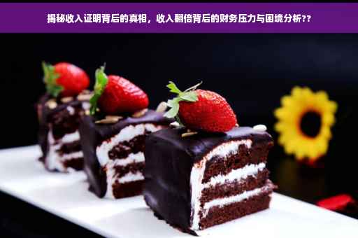 揭秘收入证明背后的真相，收入翻倍背后的财务压力与困境分析??