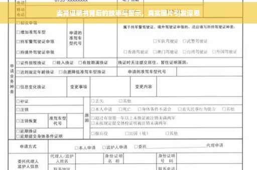 卖肾证明书背后的故事与警示，真实图片引发深思