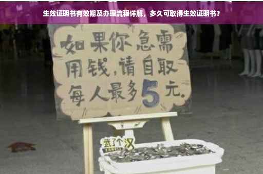 生效证明书有效期及办理流程详解，多久可取得生效证明书？