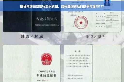 揭秘年底绩效银行流水真相，如何查询背后的故事与细节???