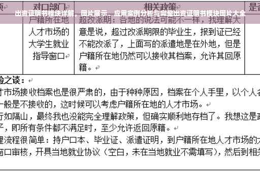 出资证明书模块详解，图片展示、应用实例分析与完整出资证明书模块图片大全