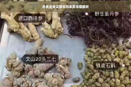 合资企业证明书范本及详细解析