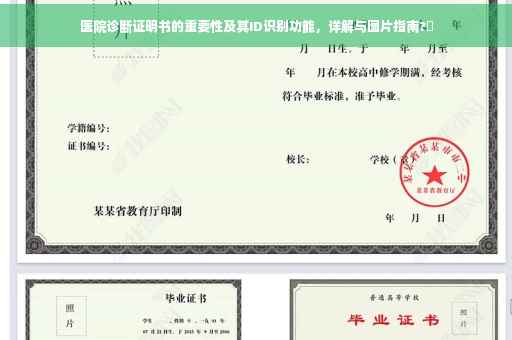 医院诊断证明书的重要性及其ID识别功能，详解与图片指南?✨