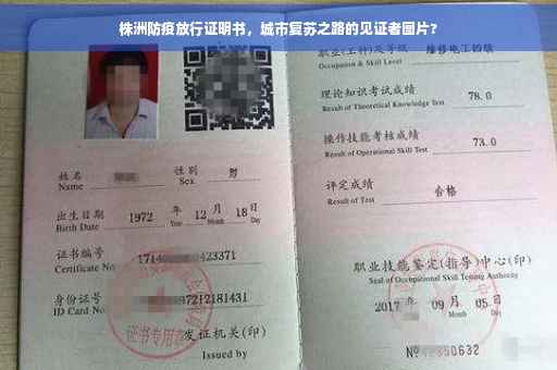 株洲防疫放行证明书，城市复苏之路的见证者图片?