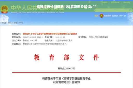 病理报告诊断证明书详解及图片解读?⚡️