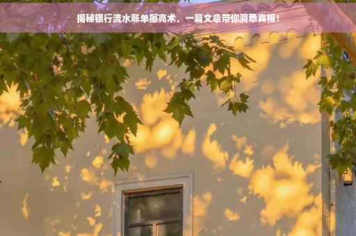 揭秘银行流水账单擦亮术，一篇文章带你洞悉真相！