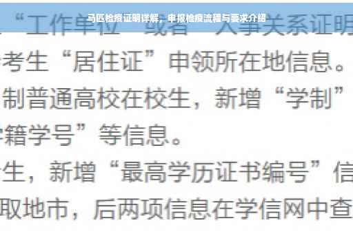 马匹检疫证明详解，申报检疫流程与要求介绍