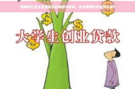 揭秘银行流水五倍背后的真相与影响，流水数额究竟如何计算？