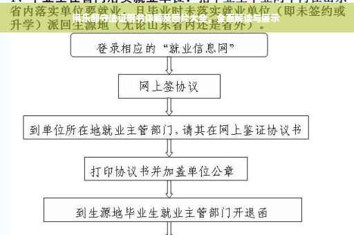 俱乐部守法证明书详解及图片大全，全面解读与展示