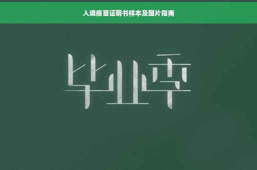 入境疫苗证明书样本及图片指南
