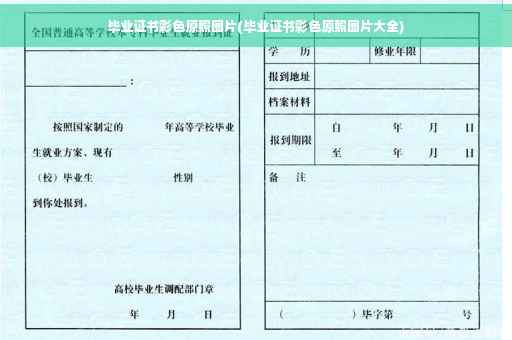 毕业证书彩色原照图片(毕业证书彩色原照图片大全)