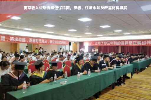 南京收入证明办理低保指南，步骤、注意事项及所需材料详解