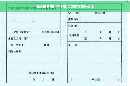 毕业证书图片手绘图,见习警官证什么样