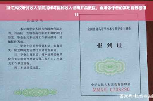 浙江高校老师收入深度揭秘与揭秘收入证明开具流程，自媒体作者的实地调查报道??