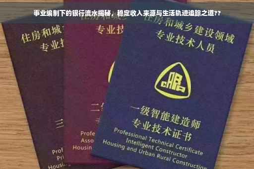 事业编制下的银行流水揭秘，稳定收入来源与生活轨迹追踪之道??