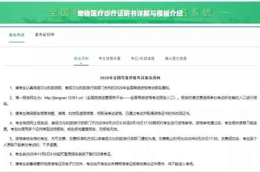 宠物医疗诊疗证明书详解与模板介绍