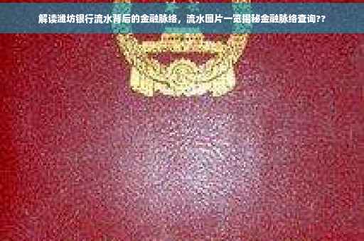 解读潍坊银行流水背后的金融脉络，流水图片一览揭秘金融脉络查询??