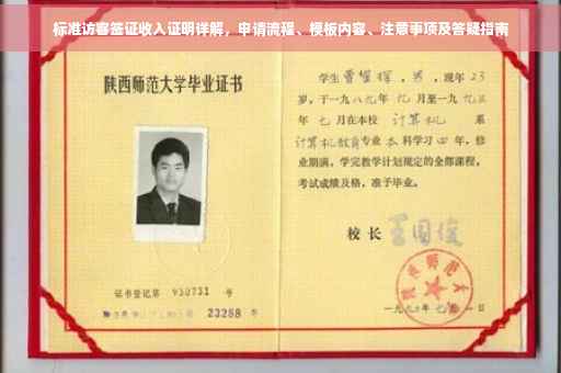 标准访客签证收入证明详解，申请流程、模板内容、注意事项及答疑指南